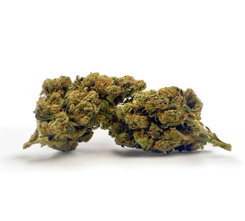 Amnesia Royal
