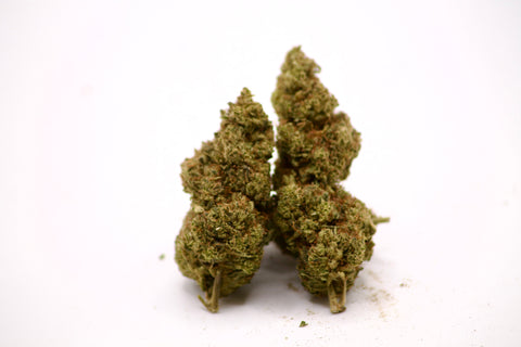 GELATO THV+
