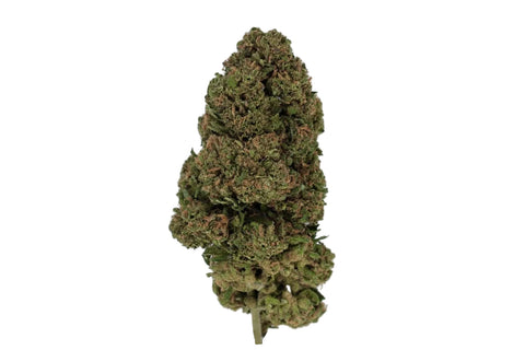 Fleur CBD Amnesia Premium Greenhouse
