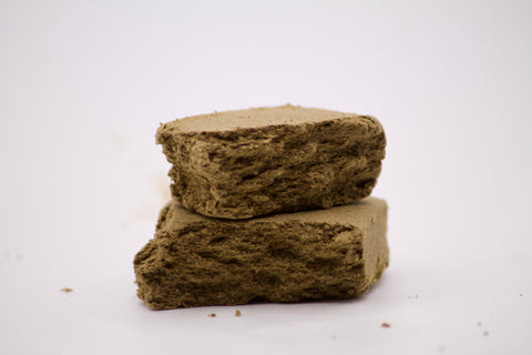 Amnesia Gold