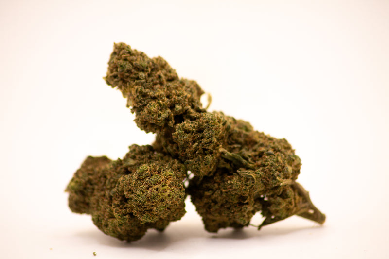 Bubble Mary'High — Maison Maryjane