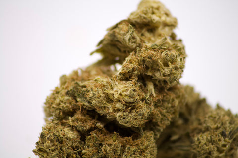 White Widow THV+