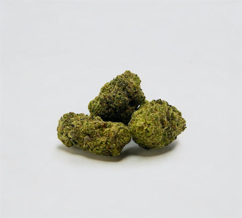 Gelato