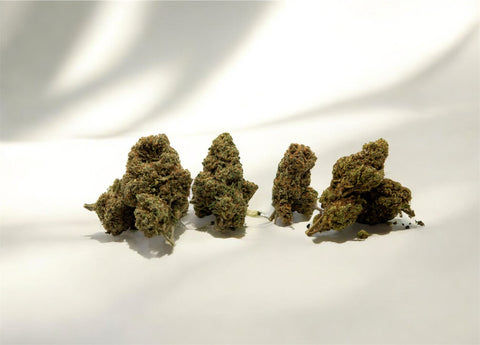 PACK FLEURS