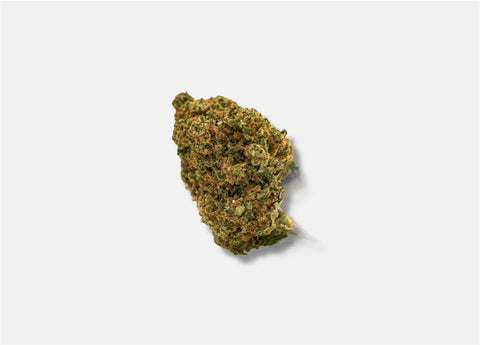PACK FLEURS