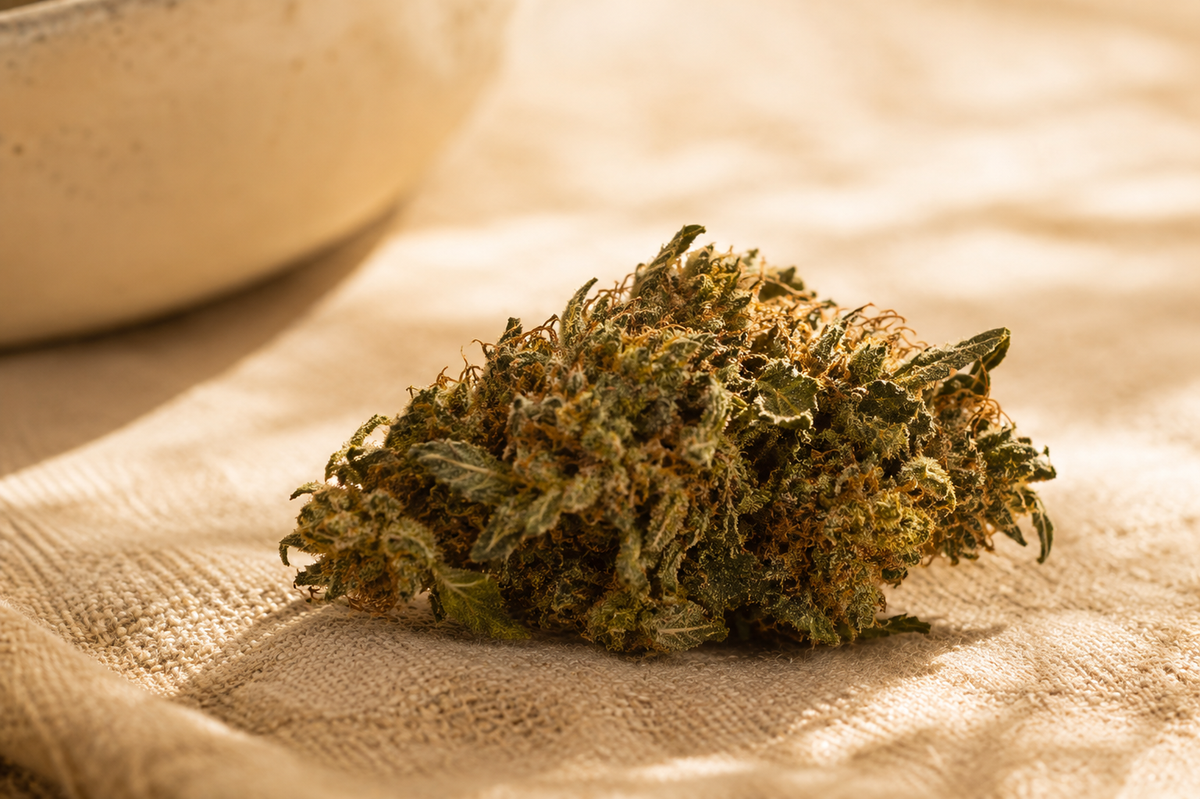Fleurs CBD THV+ | Maison Maryjane