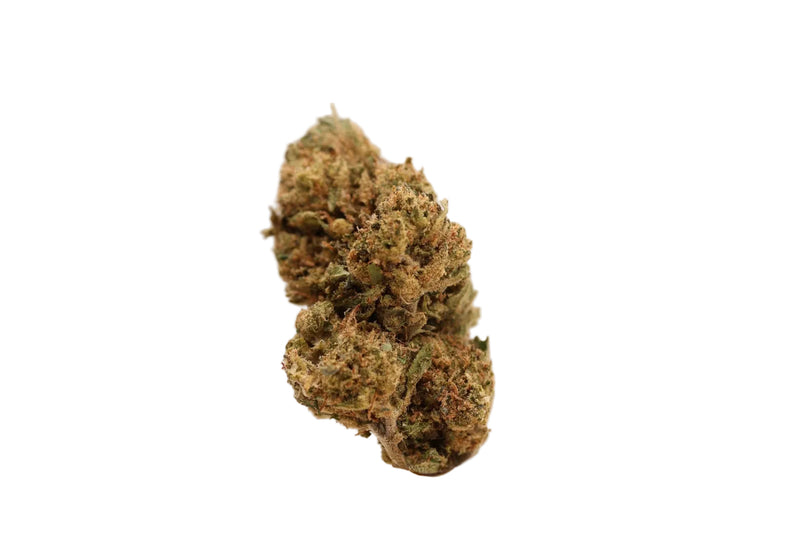 Fleur CBD Harlequin aux arômes boisés, terreux et de mangue mûre