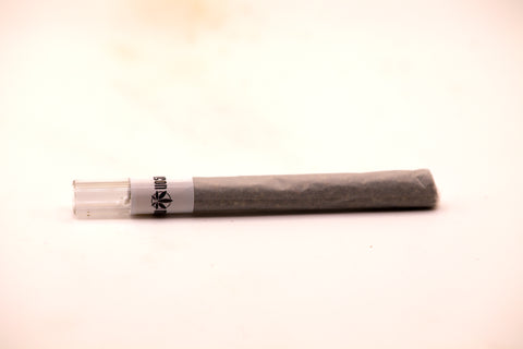 GIGA PRE ROLLS 2G THV+