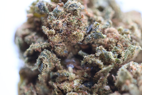 Fleur CBD Super Lemon Haze High Effect