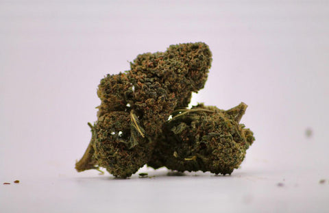 LEMON HAZE H.E