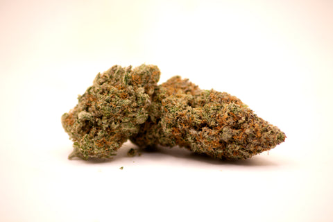 NORTHERN LIGHT INDOOR