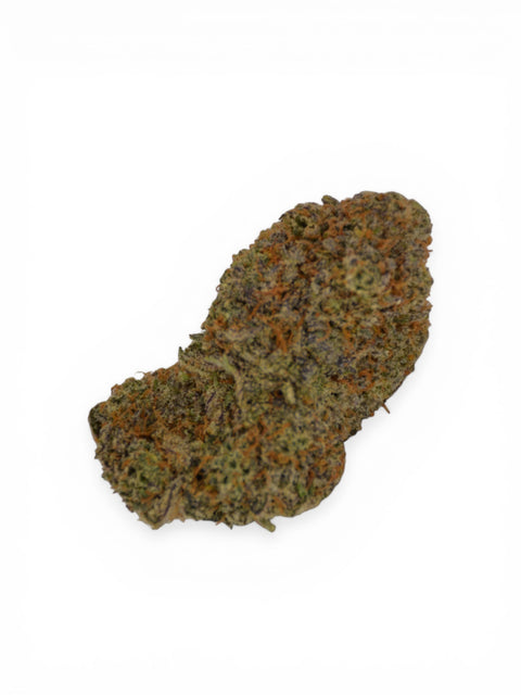PLUTONIUM INDOOR