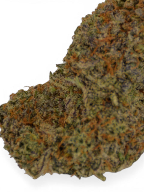 PLUTONIUM INDOOR