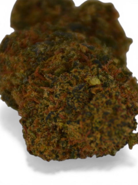 SKYWALKER MARY'HIGH