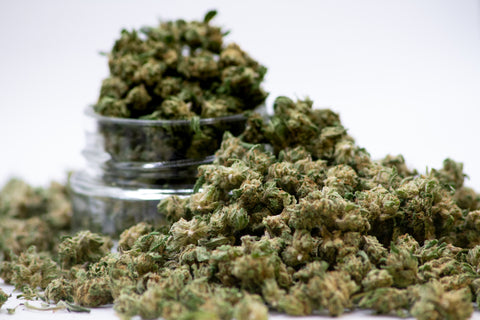 Small Bud bio