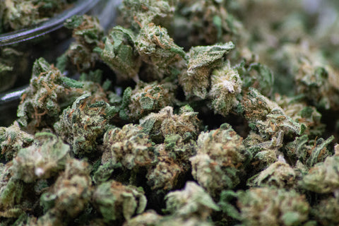 Small Bud bio
