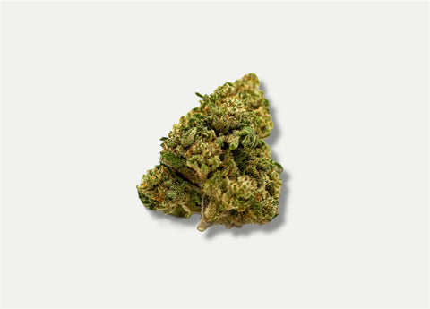 PACK FLEURS