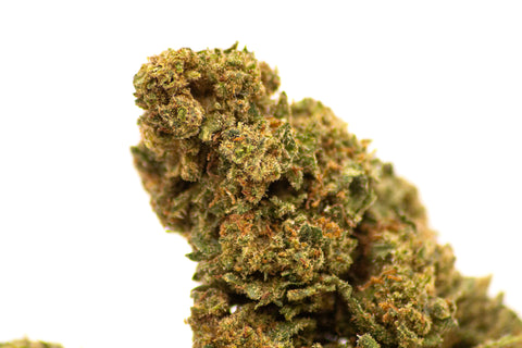 CHEESE CAKE HIGH EFFETS