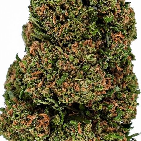 Fleur CBD Amnesia Premium Greenhouse