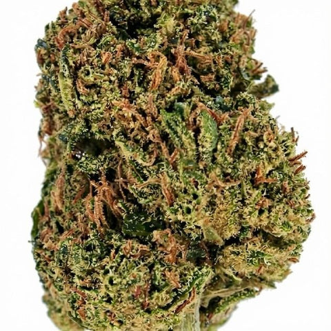 Fleur CBD Bubba Kush Mary High