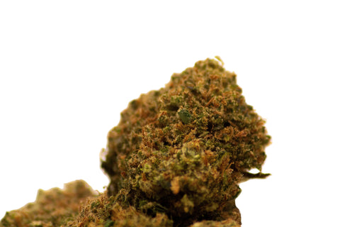 Fleur CBD Fleur CBD Harlequin High Effect — qualité premium