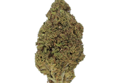Fleur CBD Jack Herer High Effect