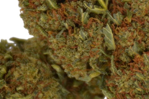 Fleur CBD Fleur CBD OG Kush Mary High — qualité premium