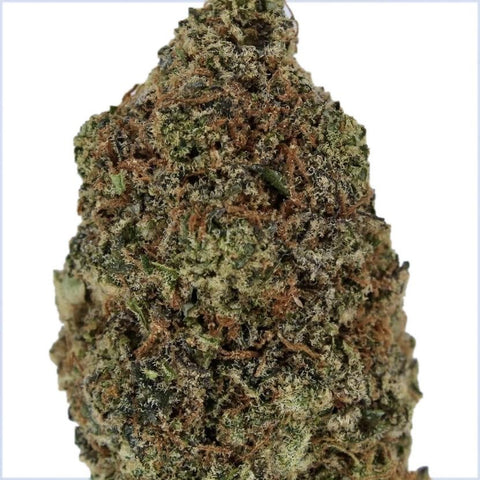 Fleur CBD Plutonium Indoor