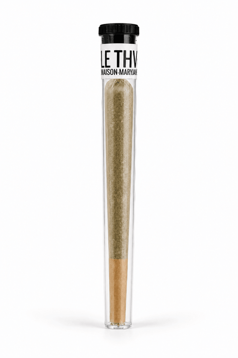 Pré-roll CBD Pré-Roll THV+ — qualité premium