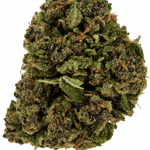 Fleur CBD Saphir Kush Greenhouse