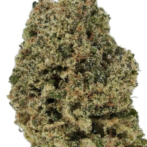 Fleur CBD Indoor Legendary Skunk