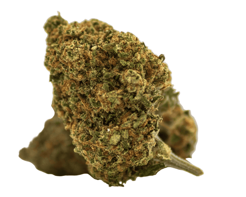 Fleur CBD Fleur CBD Fruit Gorilla Greenhouse — qualité premium