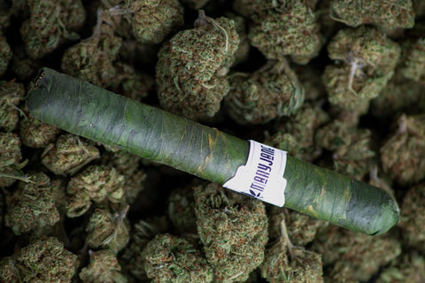 Cannagar Canna CBD
