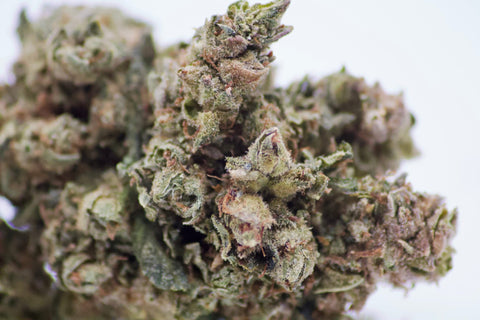 Fleur CBD Fleur CBD Amnesia THV+ — qualité premium