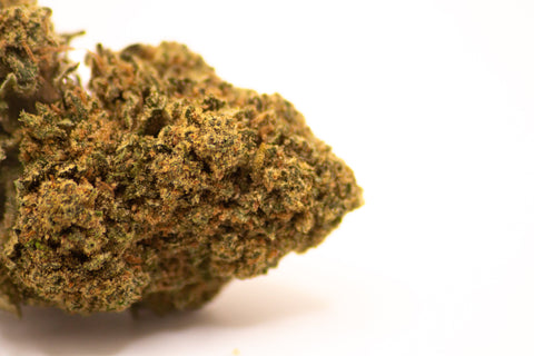 Fleur CBD Fleur CBD Ice Tonic Greenhouse Greenhouse — qualité premium