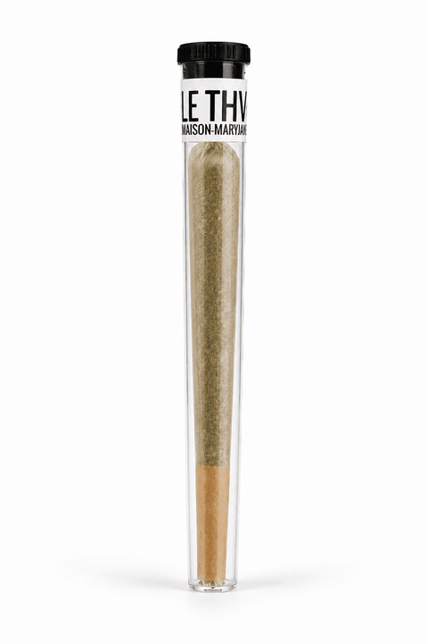 Pré-roll CBD Pré-Roll THV+ — qualité premium