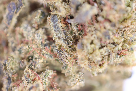 Fleur CBD Gelato High Effect