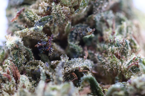 Fleur CBD Sunset Kush High Effect