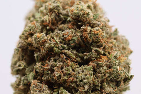 Fleur CBD Critical Kush Indoor