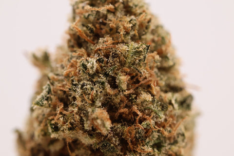 Fleur CBD Northern Light Indoor