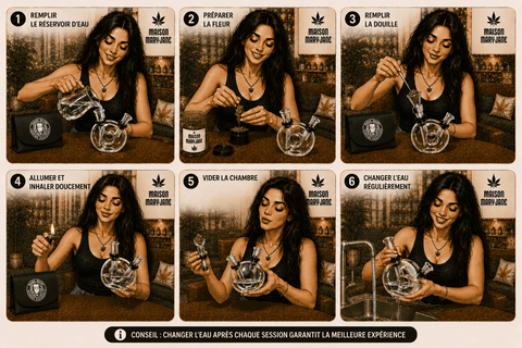 Produit CBD Bang de voyage BASIL BUSH — qualité premium