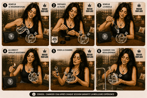 Produit CBD Bang de voyage BASIL BUSH — qualité premium