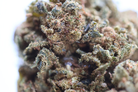 Fleur CBD Super Lemon Haze High Effect