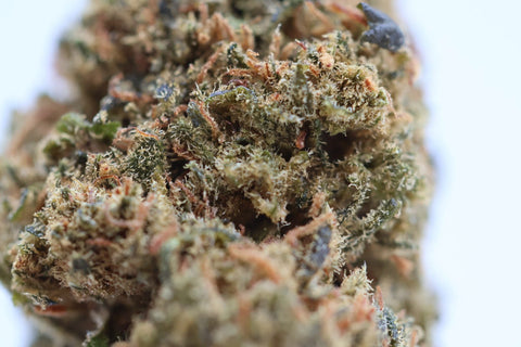 Fleur CBD Strawberry High Effect