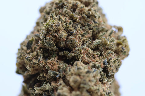 Fleur CBD Blue Berry MARY'CHILL THV+