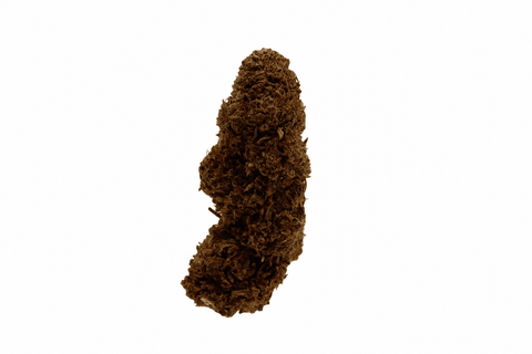 Fleur CBD Lifter Mary High