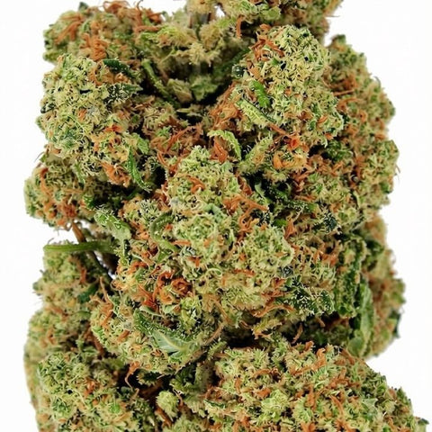 Fleur CBD Amsterdam Central Hydro