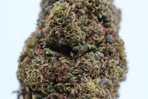 Fleur CBD Mandarina Kush Mary High