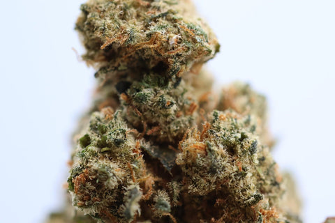 Fleur CBD Amnesia Mary High