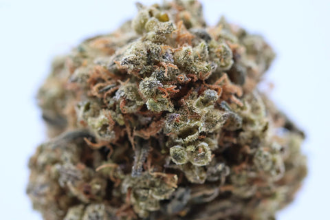 Fleur CBD GreenCrack Mary High